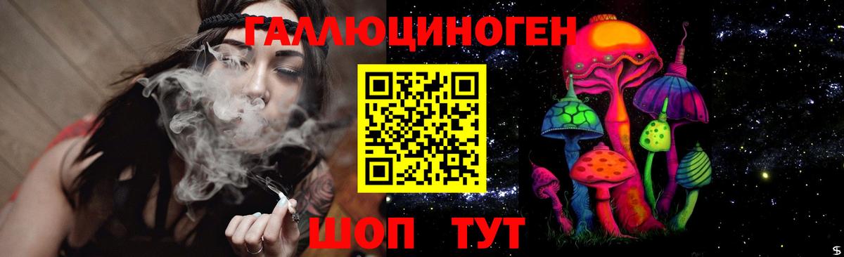 Азов  наркошоп  Вход с VPN  Псилоцибиновые грибы GOLDEN TEACHER  Галлюциногенные грибы GOLDEN TEACHER 